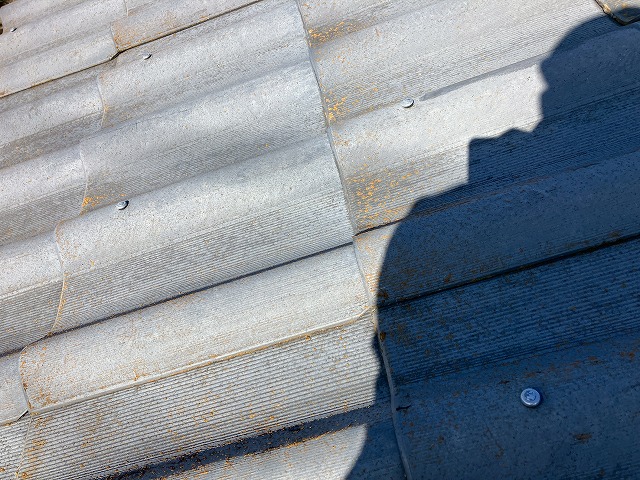 カビの生えたニューウェーブ